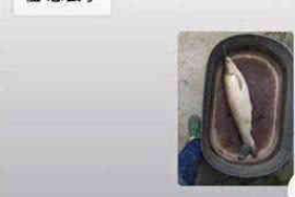 宜都债务催收去哪里咨询?专业机构助您无忧解决 宜都债务催收去哪里咨询?专业机构助您无忧解决