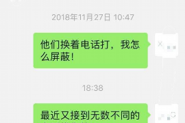 举报催收诅咒短信：维护自身权益的必要行动