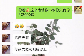 陈翔要账:一场关于诚信与权益的较量 陈翔要账:一场关于诚信与权益的较量