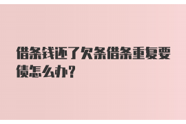 催收短信说申请支付令：了解支付令及应对策略